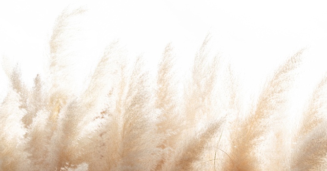 Types of Appointments Offered: