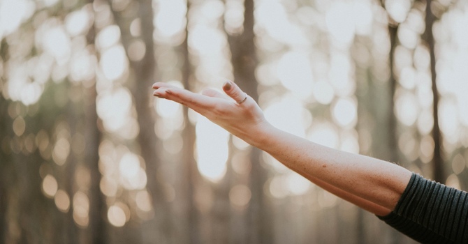 Types of Appointments Offered: