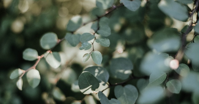 Types of Appointments Offered: